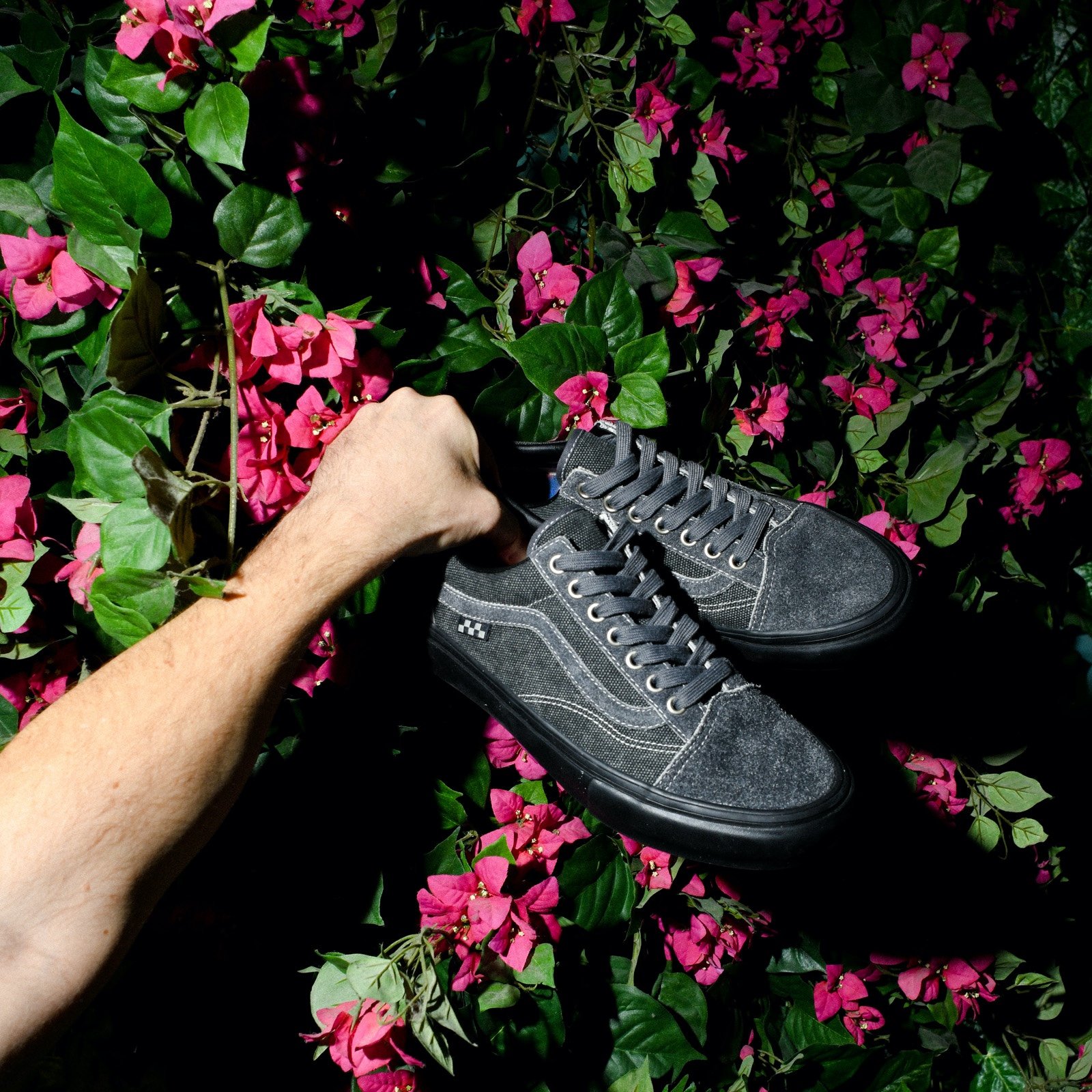 A Divisão Vans Skateboarding Reapresenta Nova Coleção com a Quasi 