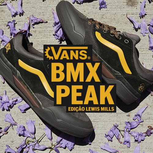 BMX PEAK - LEWIS MILLS