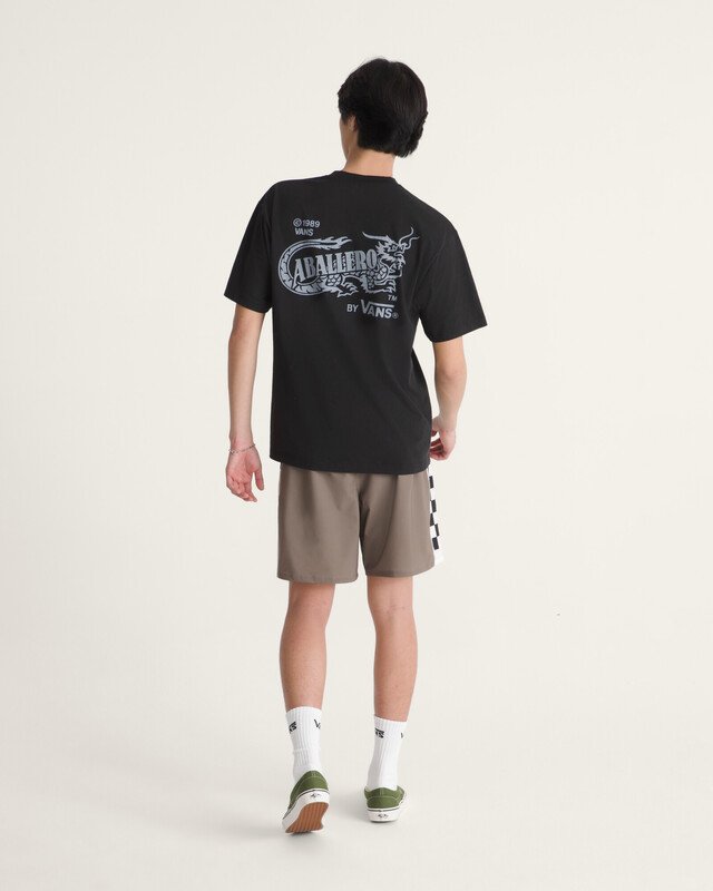 Boardshort Daily Sideline Mo Boardshort Walnut