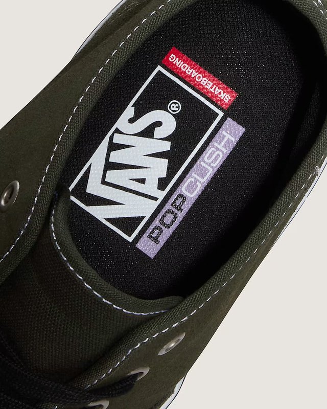Tênis Skate Authentic Mid Obsidian Fern