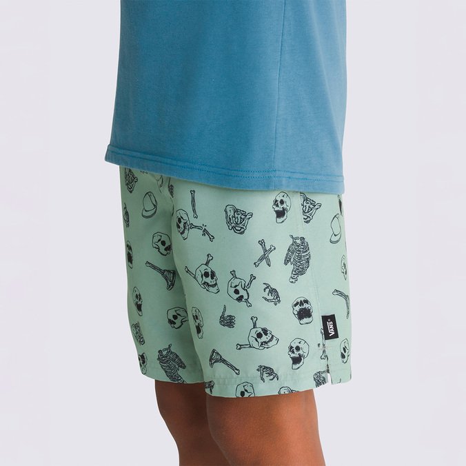 Boardshort Primary Print Elastic Iceberg Green