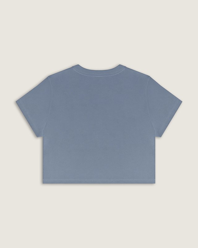 Camiseta Manga Curta Cropped Flying V Glacial Slate