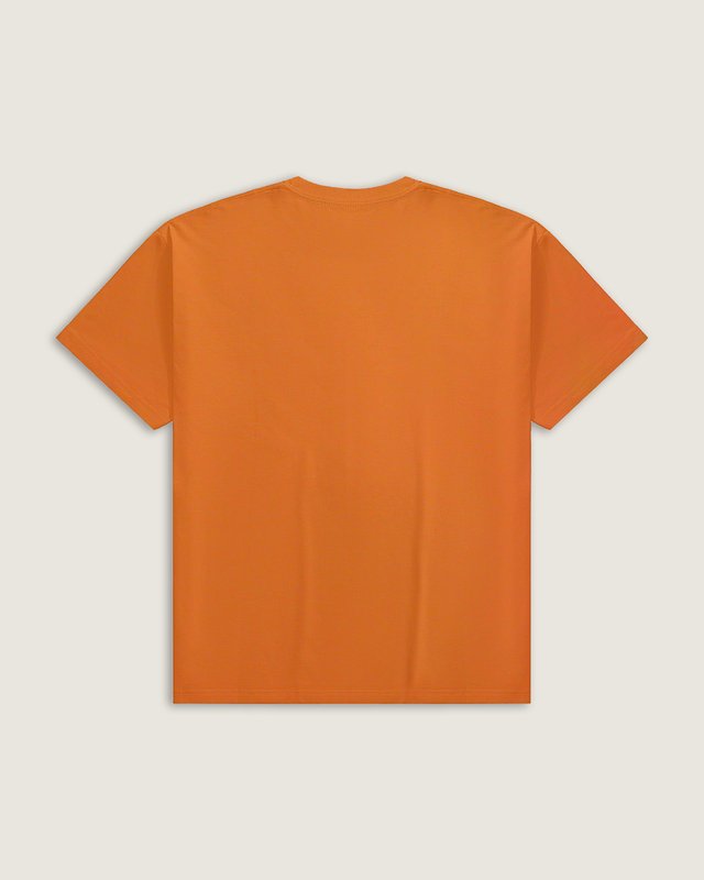 Camiseta Manga Curta New Vans Classics Flame