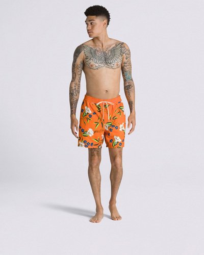 Boardshort Primary Print Elastic Black Multi | Vans