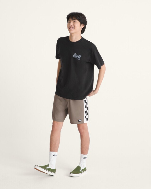 Boardshort Daily Sideline Mo Boardshort Walnut