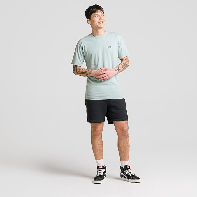 Camiseta Skate Classics SS Gray Mist