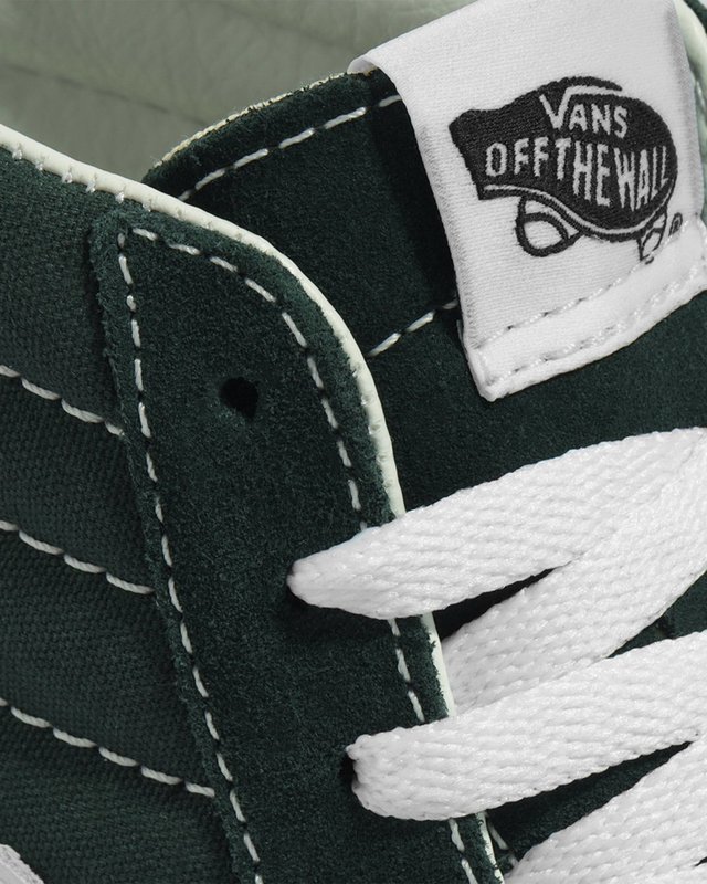 Tênis Sk8-Hi Scarab Color Theory Scarab